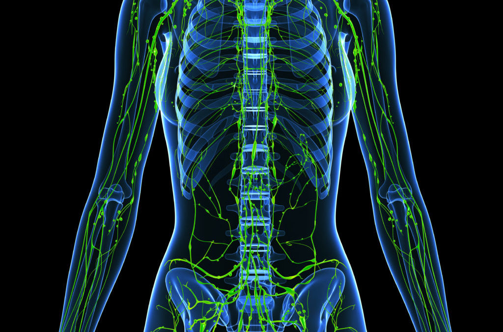 What is the Lymphatic System and Tips to Improve It